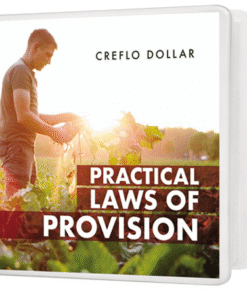 The Practical Laws  of Provision